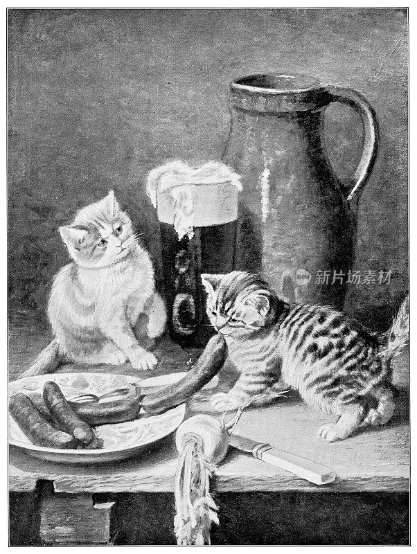小猫在桌面上玩由Minna股票- 19世纪